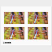 Blauwgroen dragonvlieg op rand rechthoekige sticker (Vel)