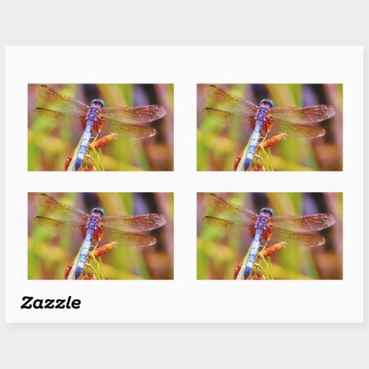 Blauwgroen dragonvlieg op rand rechthoekige sticker (Vel)