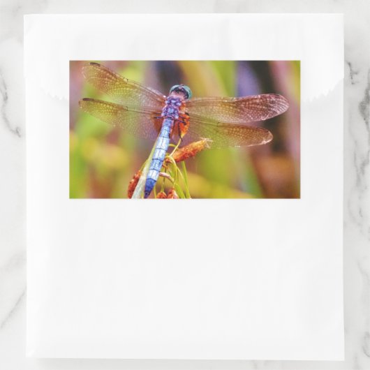 Blauwgroen dragonvlieg op rand rechthoekige sticker (Tas)