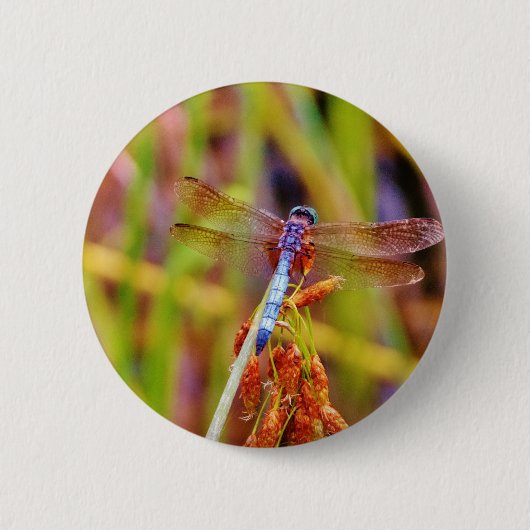 Blauwgroen dragonvlieg op rand ronde button 5,7 cm (Voorkant)