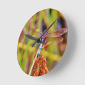 Blauwgroen dragonvlieg op rand ronde klok (Hoek)