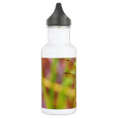 Blauwgroen dragonvlieg op rand waterfles  (Links)