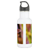 Blauwgroen dragonvlieg op rand waterfles  (Achterkant)