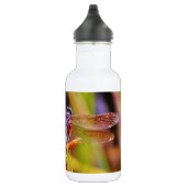 Blauwgroen dragonvlieg op rand waterfles  (Rechts)