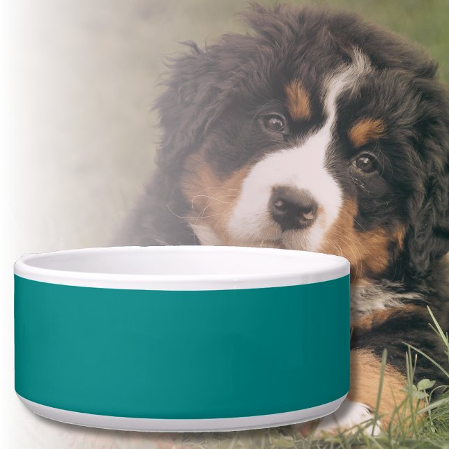 Blauwgroen effen kleur | Klassiek | Elegant Voerbakje (Creator heeft geüpload)