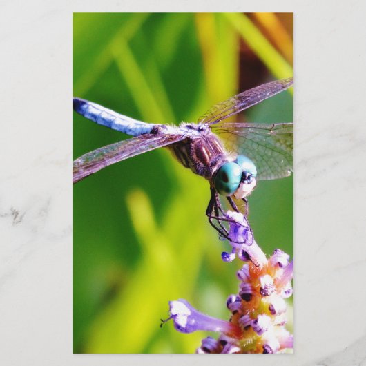 Blauwgroen en paarse dragonvlieg briefpapier (Voorkant)