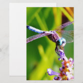 Blauwgroen en paarse dragonvlieg briefpapier (Voorkant / Achterkant)
