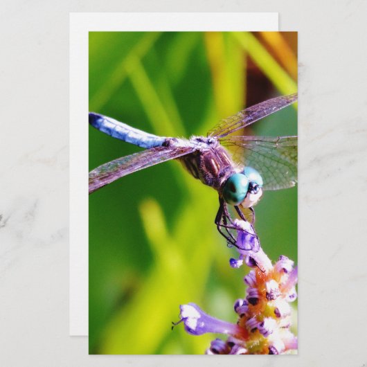 Blauwgroen en paarse dragonvlieg briefpapier (Voorkant / Achterkant)