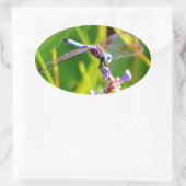 Blauwgroen en paarse dragonvlieg ovale sticker (Tas)