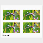 Blauwgroen en paarse dragonvlieg rechthoekige sticker (Vel)