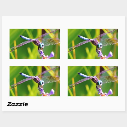 Blauwgroen en paarse dragonvlieg rechthoekige sticker (Vel)