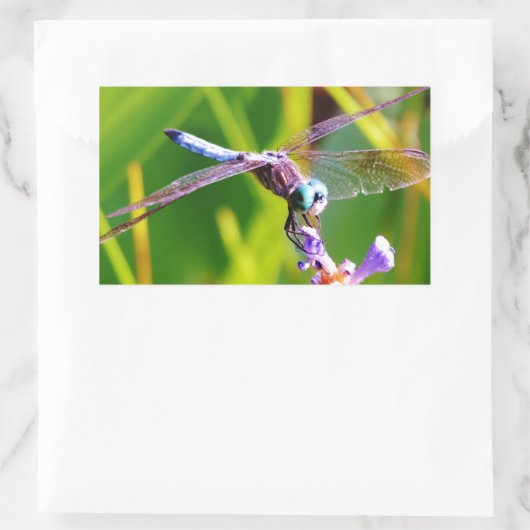 Blauwgroen en paarse dragonvlieg rechthoekige sticker (Tas)