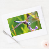 Blauwgroen en paarse dragonvlieg rechthoekige sticker (Envelop)