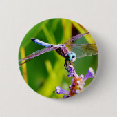 Blauwgroen en paarse dragonvlieg ronde button 5,7 cm (Voorkant)