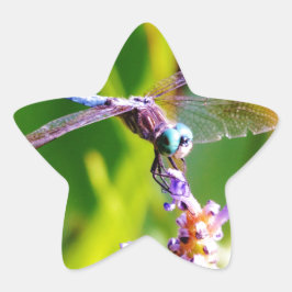 Blauwgroen en paarse dragonvlieg ster sticker
