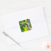 Blauwgroen en paarse dragonvlieg vierkante sticker (Envelop)