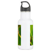 Blauwgroen en paarse dragonvlieg waterfles (Achterkant)