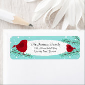 Blauwgroen en rode sneeuwbaladressen voor kerstmis etiket (Insitu)