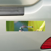 Blauwgroen-eyed Dragonfly Bumpersticker (Op auto)