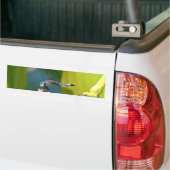 Blauwgroen-eyed Dragonfly Bumpersticker (Op Truck)
