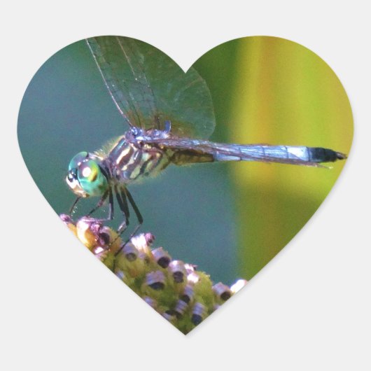 Blauwgroen-eyed Dragonfly Hart Sticker (Voorkant)
