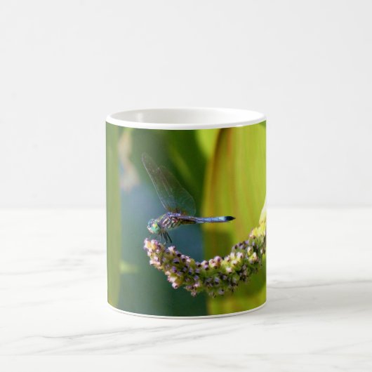 Blauwgroen-eyed Dragonfly Koffiemok (Center)