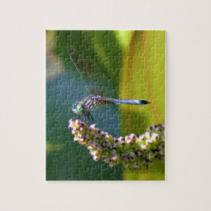 Blauwgroen-eyed Dragonfly Legpuzzel