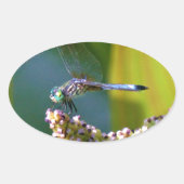 Blauwgroen-eyed Dragonfly Ovale Sticker (Voorkant)
