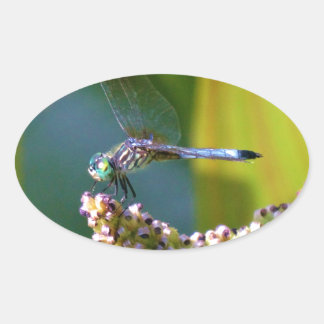 Blauwgroen-eyed Dragonfly Ovale Sticker