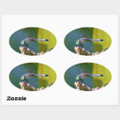 Blauwgroen-eyed Dragonfly Ovale Sticker (Vel)