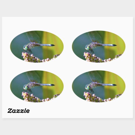 Blauwgroen-eyed Dragonfly Ovale Sticker (Vel)
