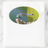 Blauwgroen-eyed Dragonfly Ovale Sticker (Tas)