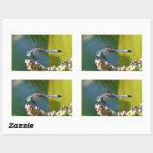 Blauwgroen-eyed Dragonfly Rechthoekige Sticker (Vel)