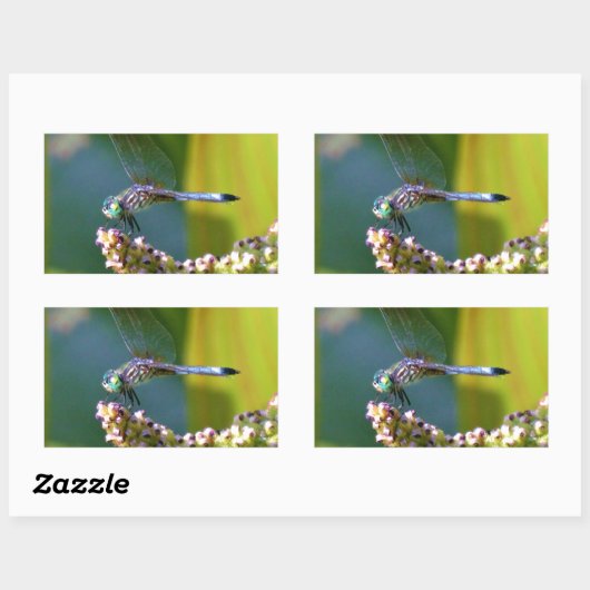 Blauwgroen-eyed Dragonfly Rechthoekige Sticker (Vel)