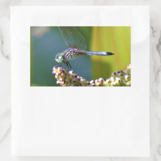 Blauwgroen-eyed Dragonfly Rechthoekige Sticker (Tas)