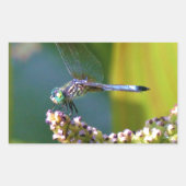 Blauwgroen-eyed Dragonfly Rechthoekige Sticker (Voorkant)