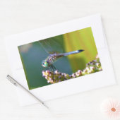 Blauwgroen-eyed Dragonfly Rechthoekige Sticker (Envelop)