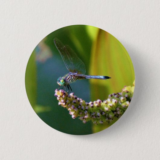 Blauwgroen-eyed Dragonfly Ronde Button 5,7 Cm (Voorkant)