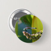 Blauwgroen-eyed Dragonfly Ronde Button 5,7 Cm (Voorkant /achterkant)