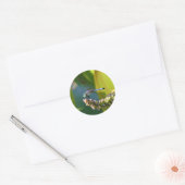 Blauwgroen-eyed Dragonfly Ronde Sticker (Envelop)