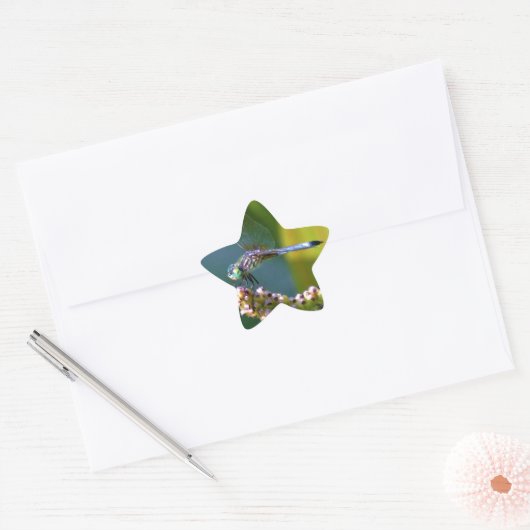 Blauwgroen-eyed Dragonfly Ster Sticker (Envelop)