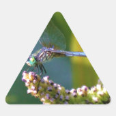 Blauwgroen-eyed Dragonfly Sticker (Voorkant)