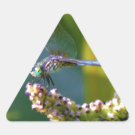 Blauwgroen-eyed Dragonfly Sticker (Voorkant)