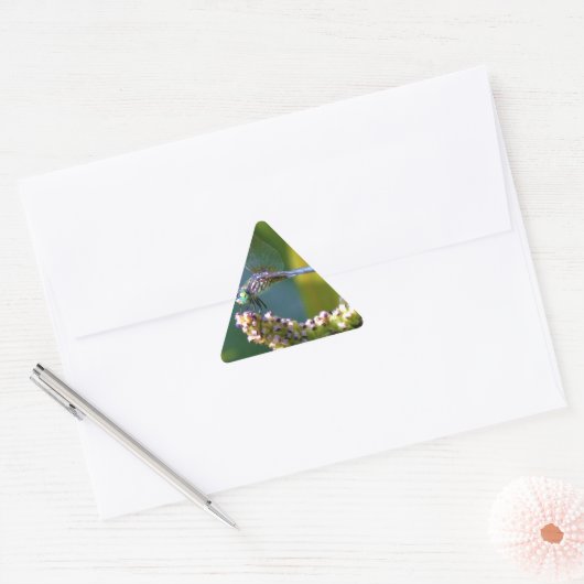 Blauwgroen-eyed Dragonfly Sticker (Envelop)