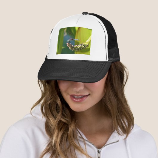 Blauwgroen-eyed Dragonfly Trucker Pet (In situ)