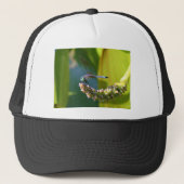 Blauwgroen-eyed Dragonfly Trucker Pet (Voorkant)