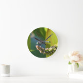 Blauwgroen eyed Libel Ronde Klok (Huis)