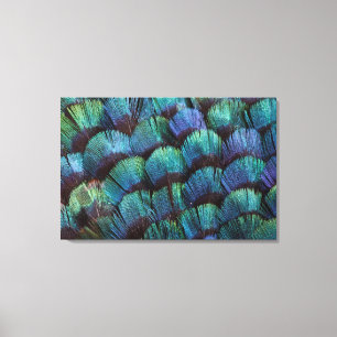 Blauwgroen fazantveerontwerp canvas afdruk