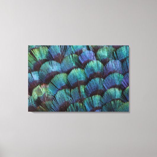 Blauwgroen fazantveerontwerp canvas afdruk (Voorkant)