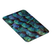 Blauwgroen fazantveerontwerp magneet (Rechterzijde)